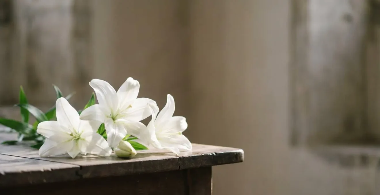 Bouquet de lys blancs éclairé d'une lumière douce, symbole de paix et d'élévation spirituelle lors d'un hommage funéraire