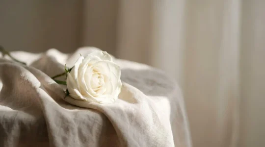 Une unique rose blanche déposée délicatement sur un tissu clair, symbole de pureté et d'hommage à un enfant disparu